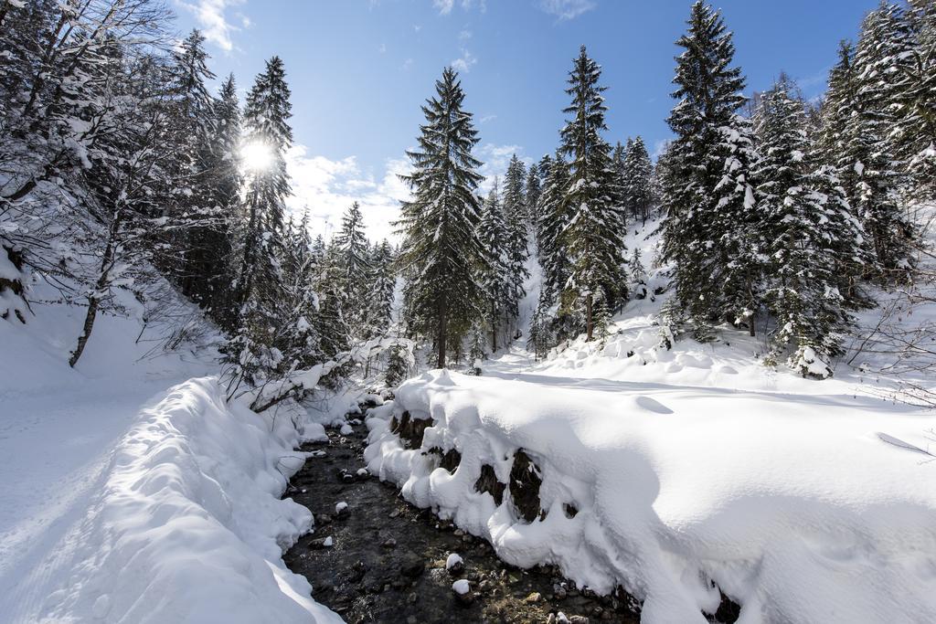 Alpenappartement Europa Sankt Johann in Tirol Buitenkant foto
