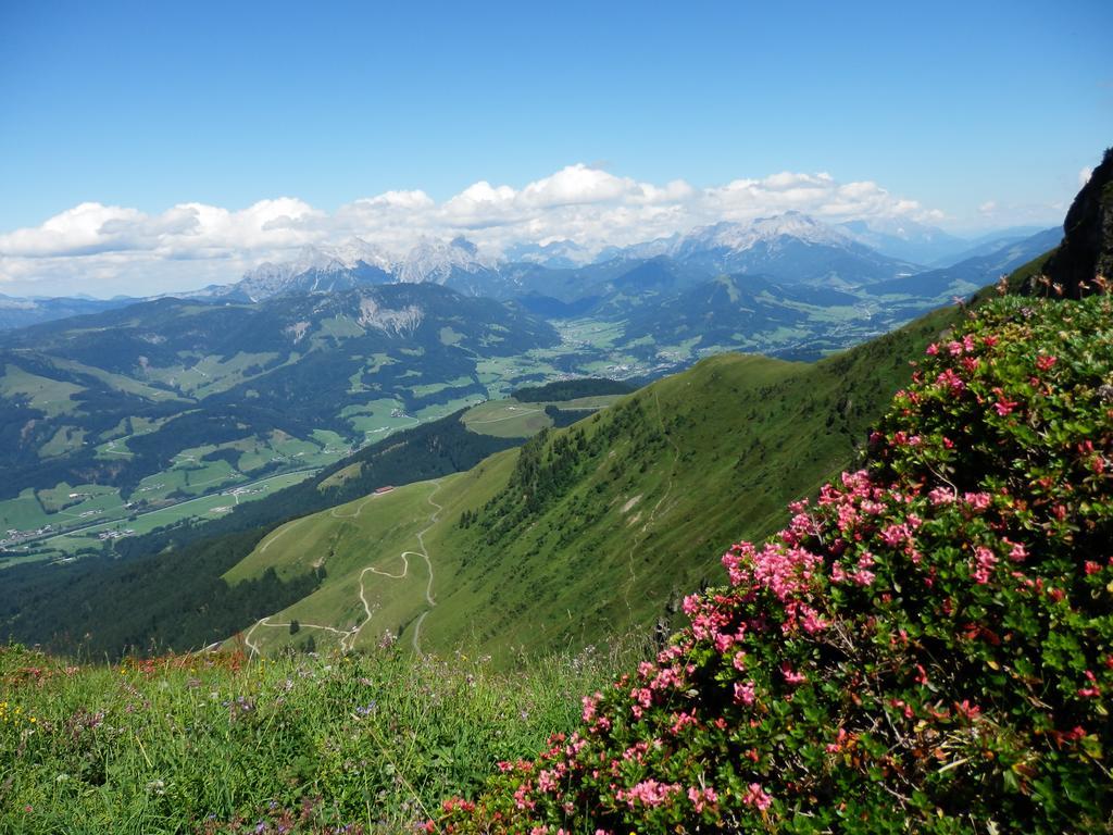 Alpenappartement Europa Sankt Johann in Tirol Buitenkant foto